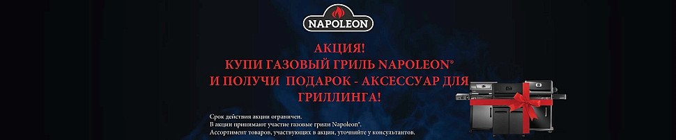 Газовые грили Napoleon в Саратове