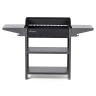 Мангал Family Standart Grill FSG 2000  