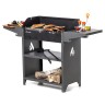Мангал Family Standart Grill FSG 2000  