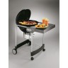 Угольный гриль Weber Performer Original GBS, 57 см, чёрный  