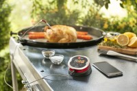 Цифровой термометр iGrill 2