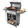 Мангал Family Optima BBQ FOBn 2000  