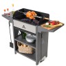 Мангал Family Optima Grill FOG 2000  