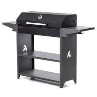 Professional Standart BBQ